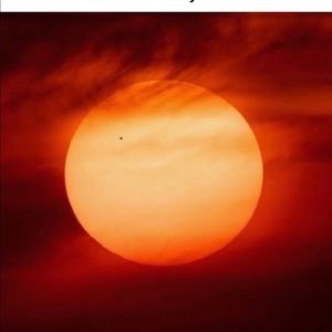 Meet your Posher, Lee